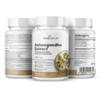 VitaSanum® Ashwagandha-Extrakt – 1 Tablette Tagesportion