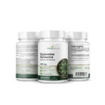 VitaSanum® Gymnema sylvestre 400 mg