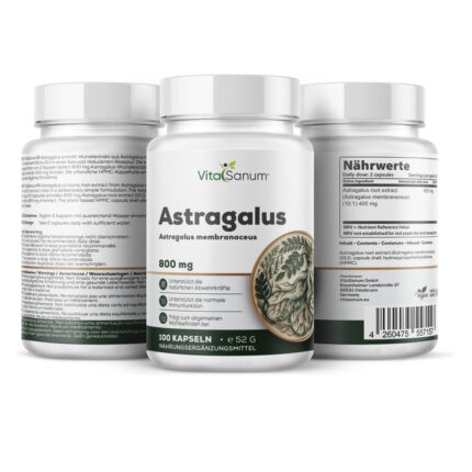 VitaSanum® – Astragalus (Astragalus membranaceus) – 1000 mg Tagesportion – 100 vegane Kapseln
