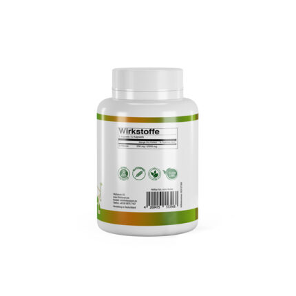 VitaSanum®- D-Ribose 2500 mg 100 Kapseln