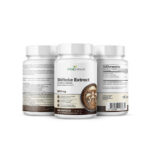 VitaSanum® Shiitake Extrakt (Lentinula edodes) 500 mg – 100 Kapseln