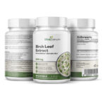 VitaSanum® Birkenblätter-Extrakt 10:1 500 mg pro Tagesportion